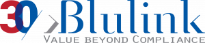blulinksrl-300x63